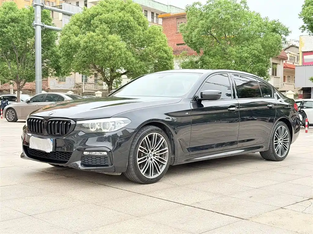 BMW 5 Series 2019 530Li Leading M Sport Package