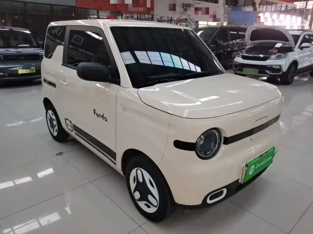 Geely Galaxy Panda 2025 Panda mini 210km Vitality Bear фото 4