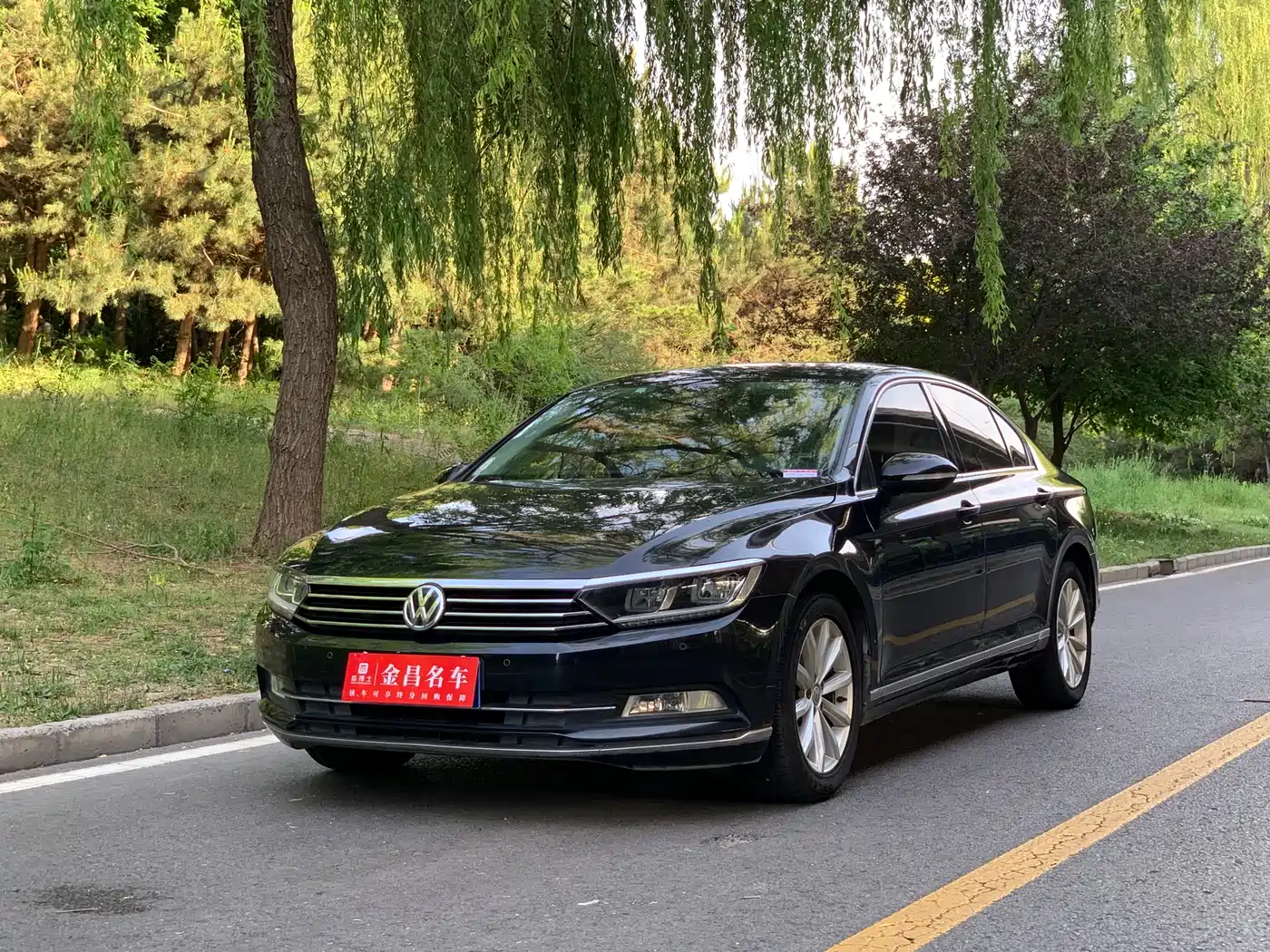 Volkswagen Magotan 2019 330TSI DSG Leading China V
