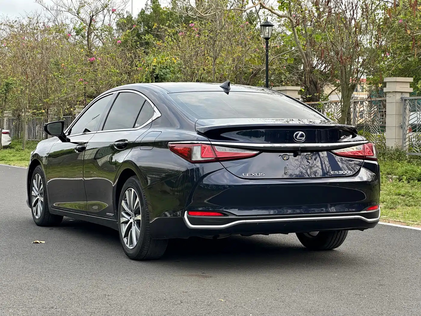 Lexus ES 2018 300h Excellence Edition China V фото 4