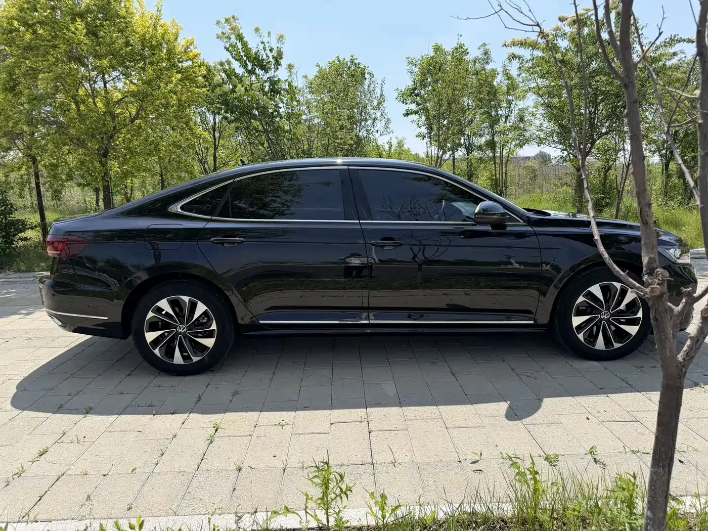 Фото 11 - Volkswagen Passat