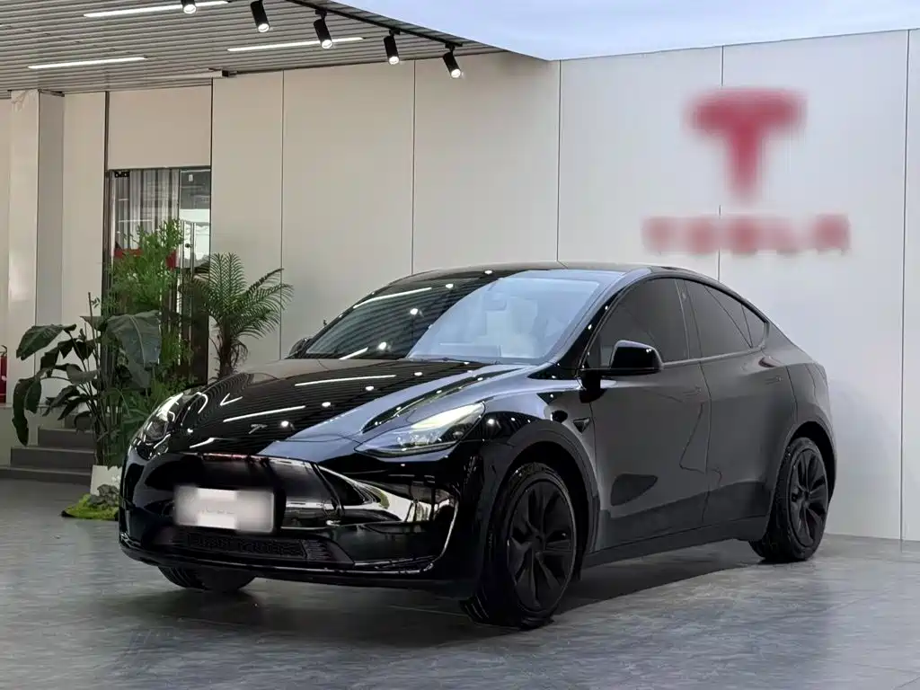 Tesla Model Y 2022 Rear-Wheel Drive Version