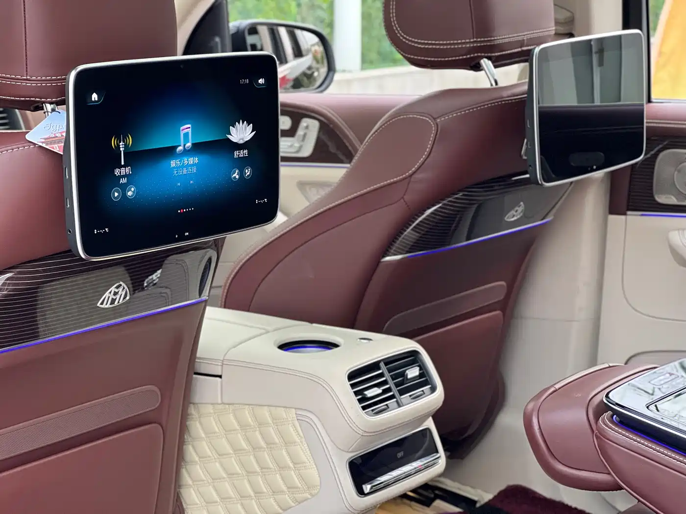 Mercedes-Benz Maybach GLS 2021 GLS 480 4MATIC фото 16