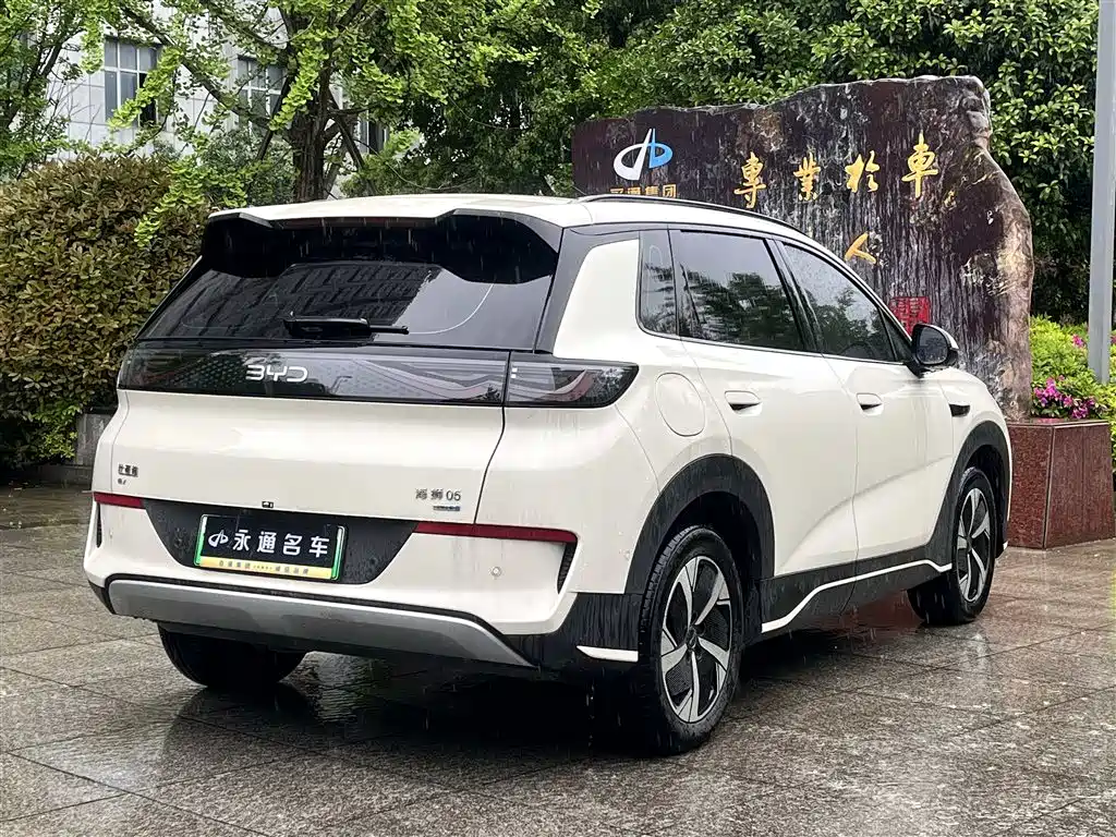 BYD Hai Shi 05 EV 2025 520KM Smart Navigation Edition фото 12