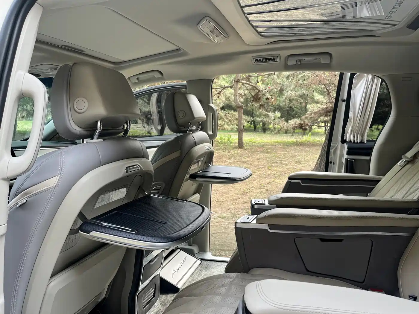 Buick GL8 2022 ES Landmark 653T Comfort фото 8
