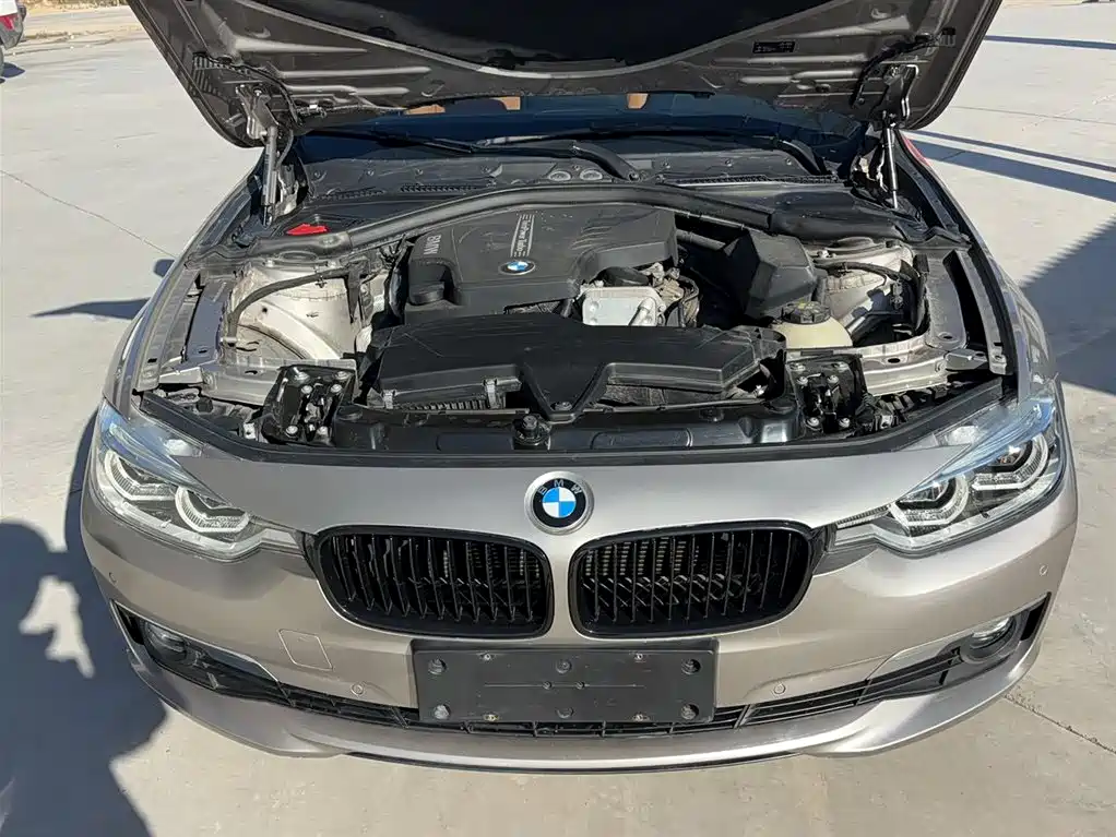 BMW 3 Series 2016 320Li Progressive фото 19