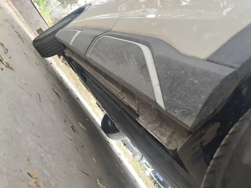BYD Yuan UP 2026 2025 Model 301KM Navigator