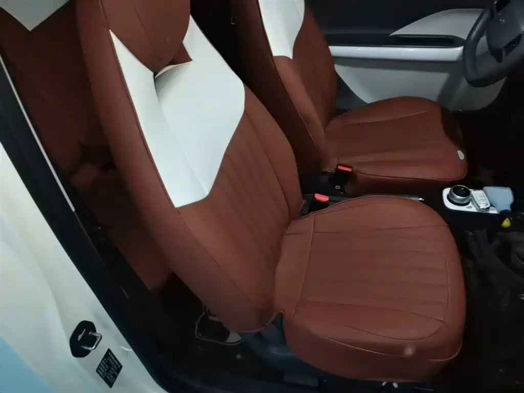 Geely Galaxy Panda 2025 Panda mini 210km Vitality Bear фото 25