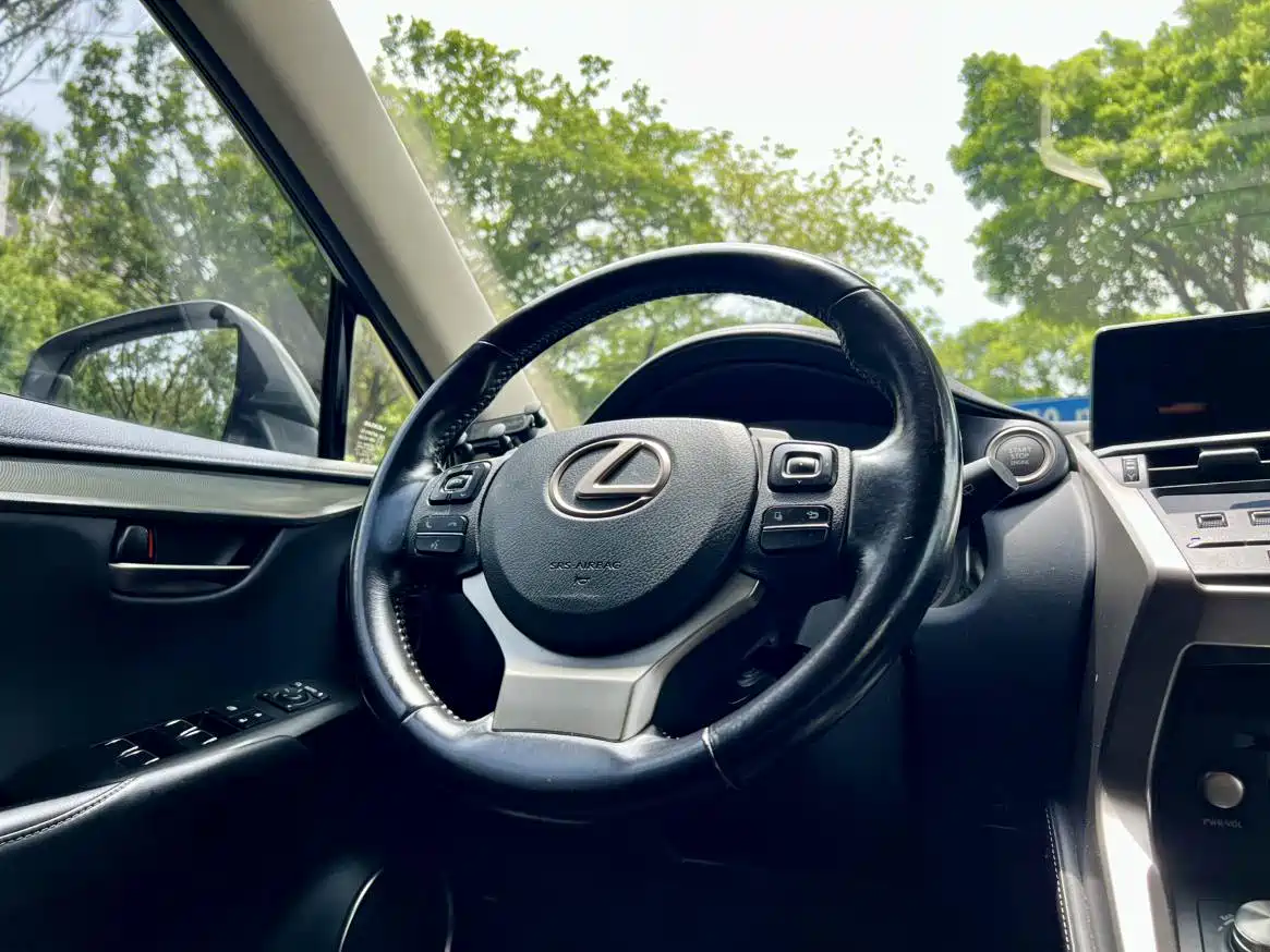 Фото 16 - Lexus NX