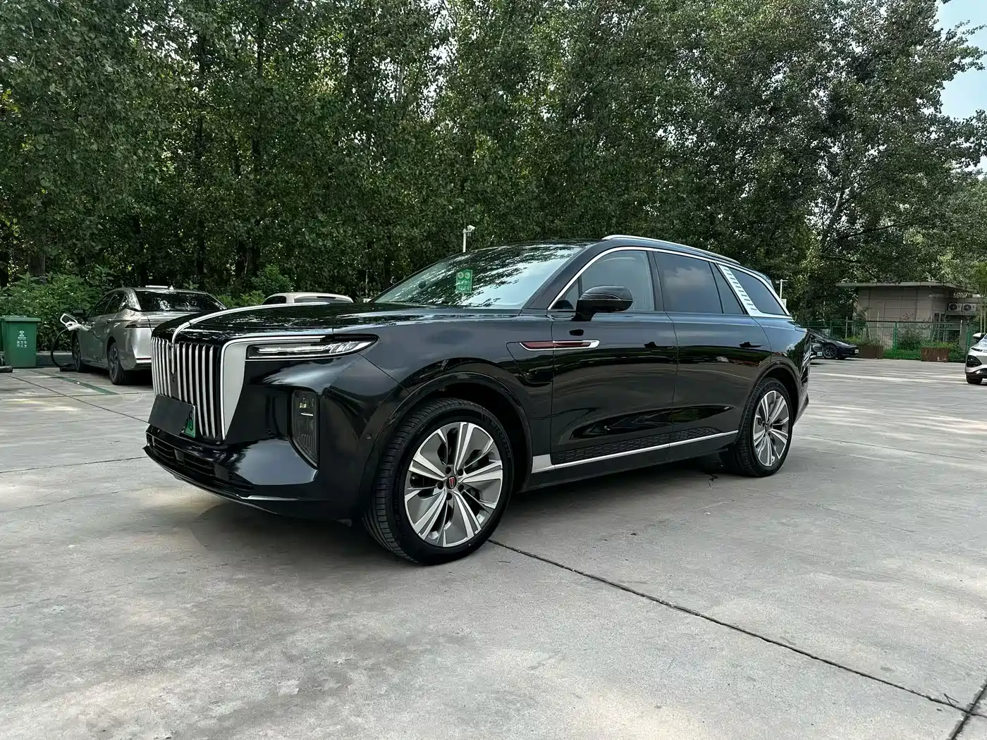 Hongqi E-HS9 2022