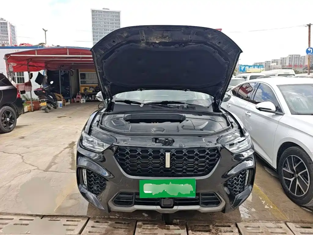 WEY VV5 2019 2019 1.5T 2WD Style Pioneer