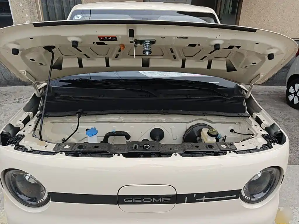 Фото 20 - Geely Galaxy Panda