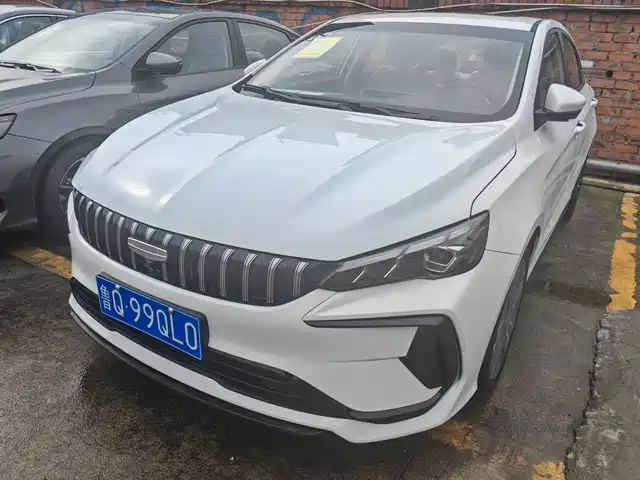 GEELY AUTOMOBILE BINRUI
