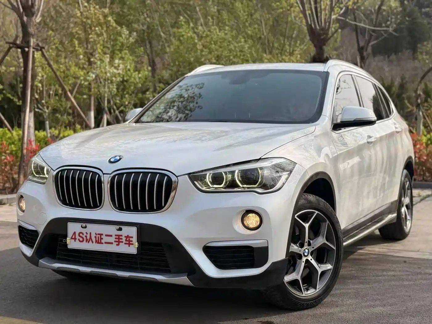 BMW X1 2019 xDrive20Li Premium Model