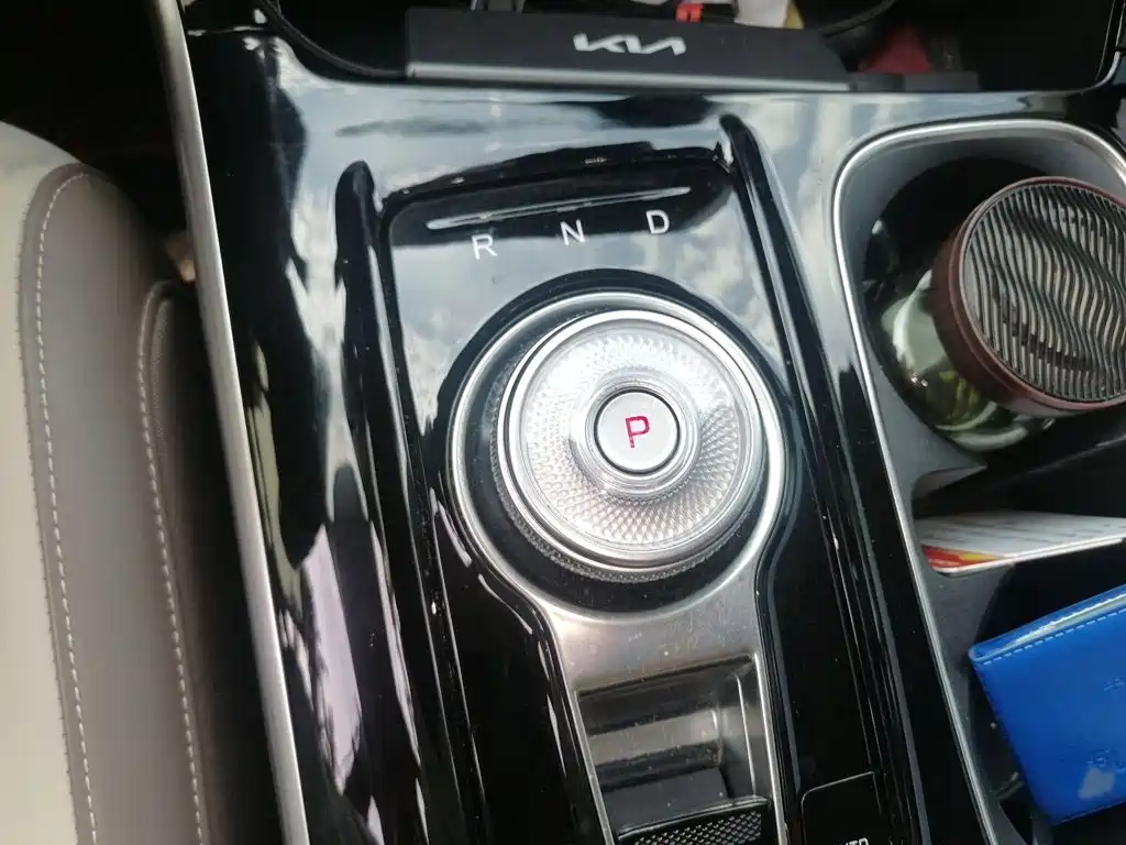 Kia Carnival 2022 2021 2.0T Flagship Edition