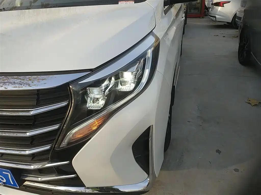 GAC Trumpchi Trumpchi M8 2021 Leading Show Series 390T Premium Edition фото 14