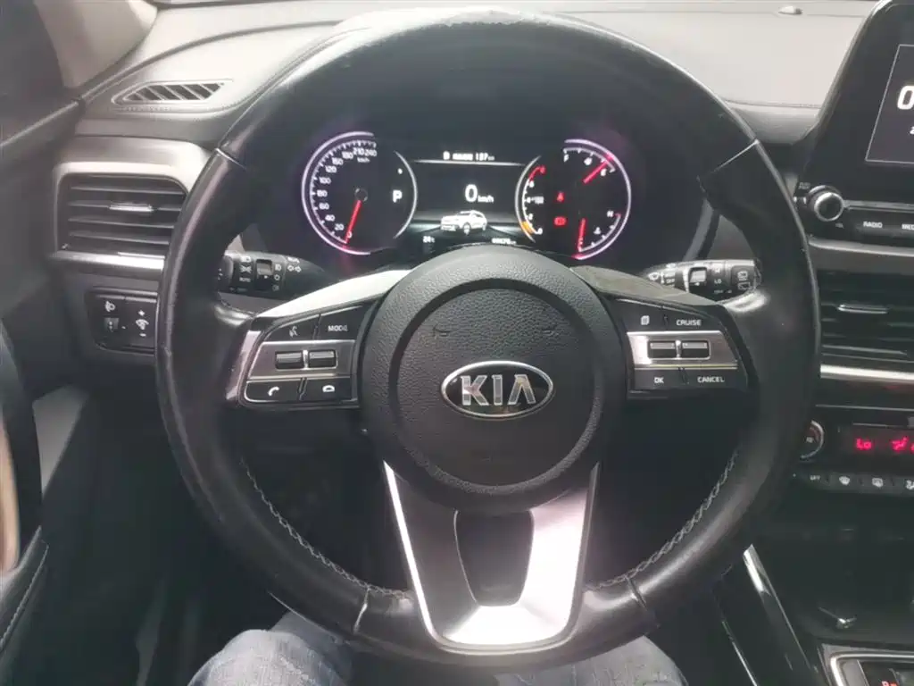 Kia Sportage 2019 2.0L Automatic Smart Luxury Edition фото 11