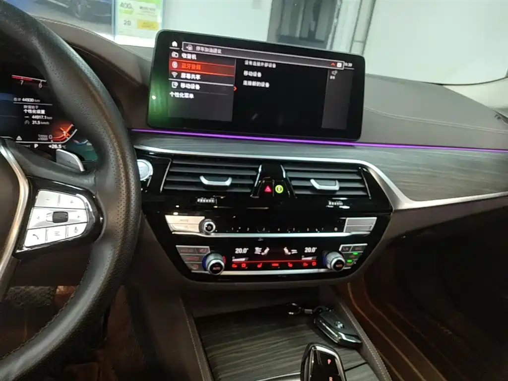 BMW 5 Series 2022 530Li Leading Luxury Package фото 13