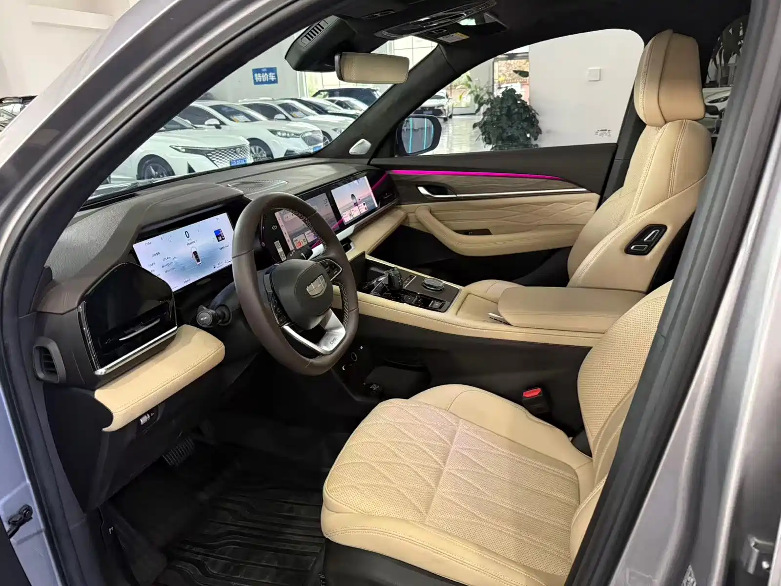 Фото 4 - Geely Monjaro