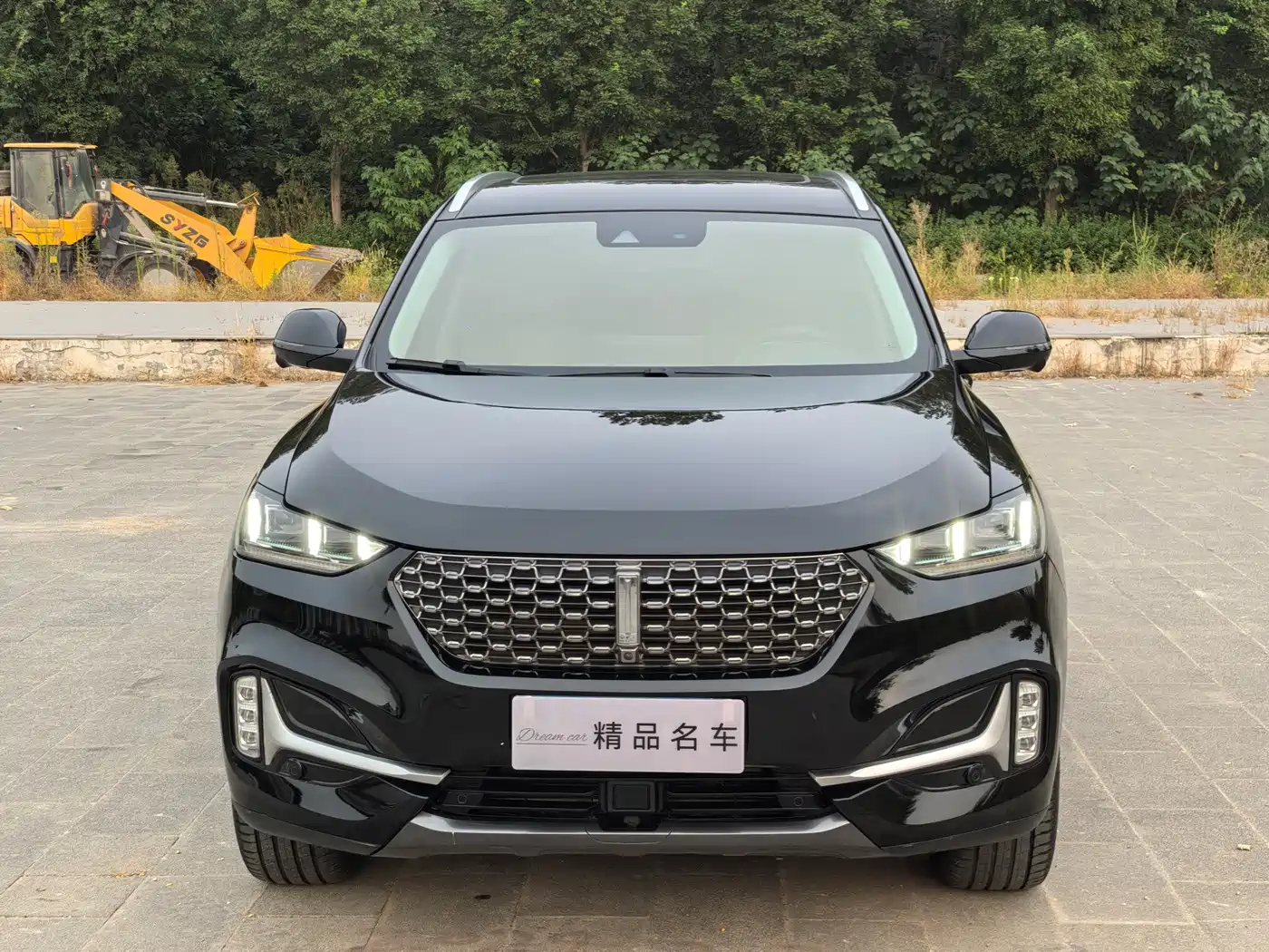 Фото 2 - WEY VV6