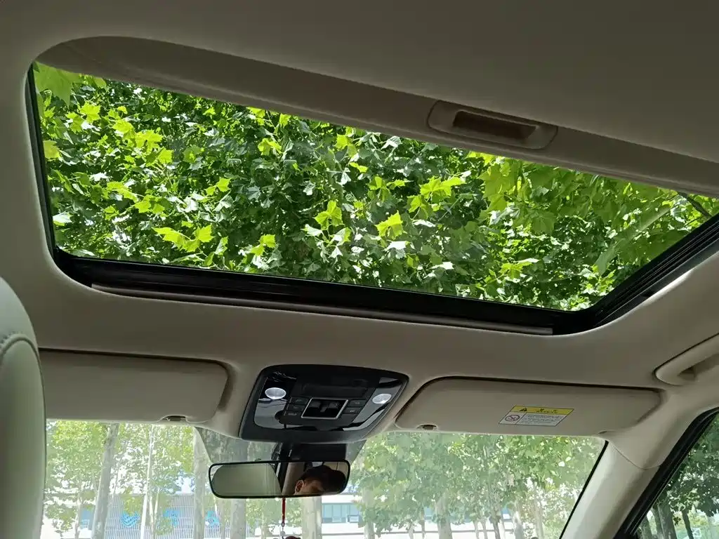 Kia Carnival 2021 2021 2.0T Luxury Premium Edition