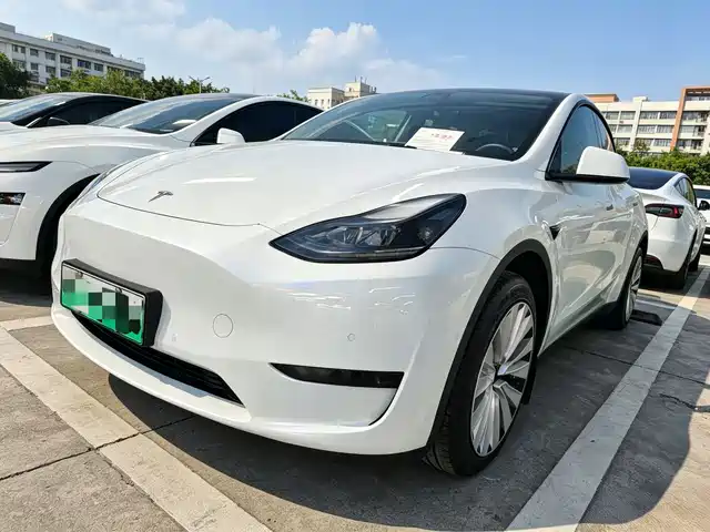 Tesla Model Y 2024 Rear-Wheel Drive Version