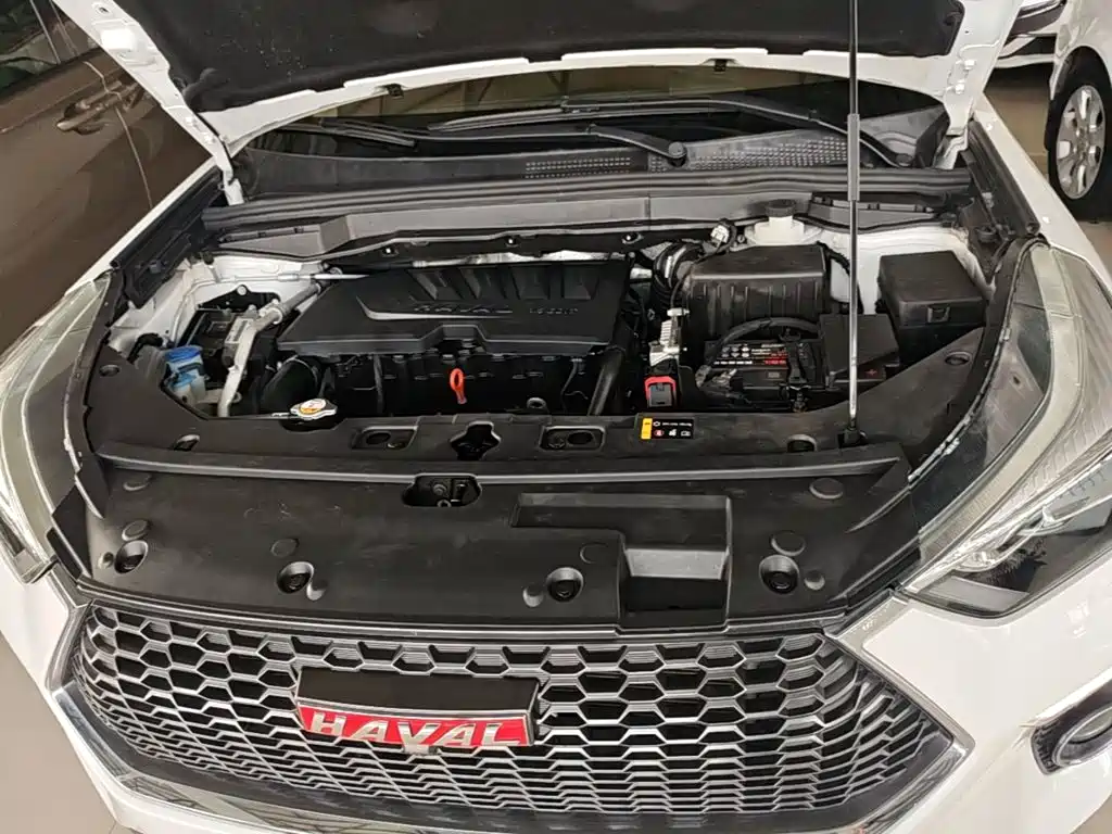 Haval H6 Coupe 2018 2018 Red Label 1.5T Auto 2WD Ultra Luxury