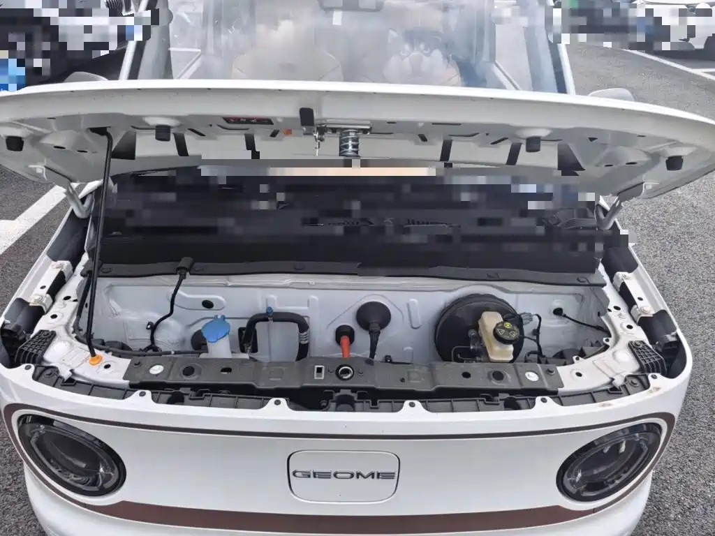 Geely Galaxy Panda 2026 2024 Panda mini 200km Endurance Bear