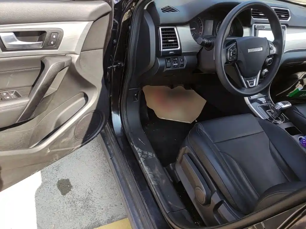 Haval H2 2018 2018 Creation Edition Red Label 1.5T DCT 2WD Style