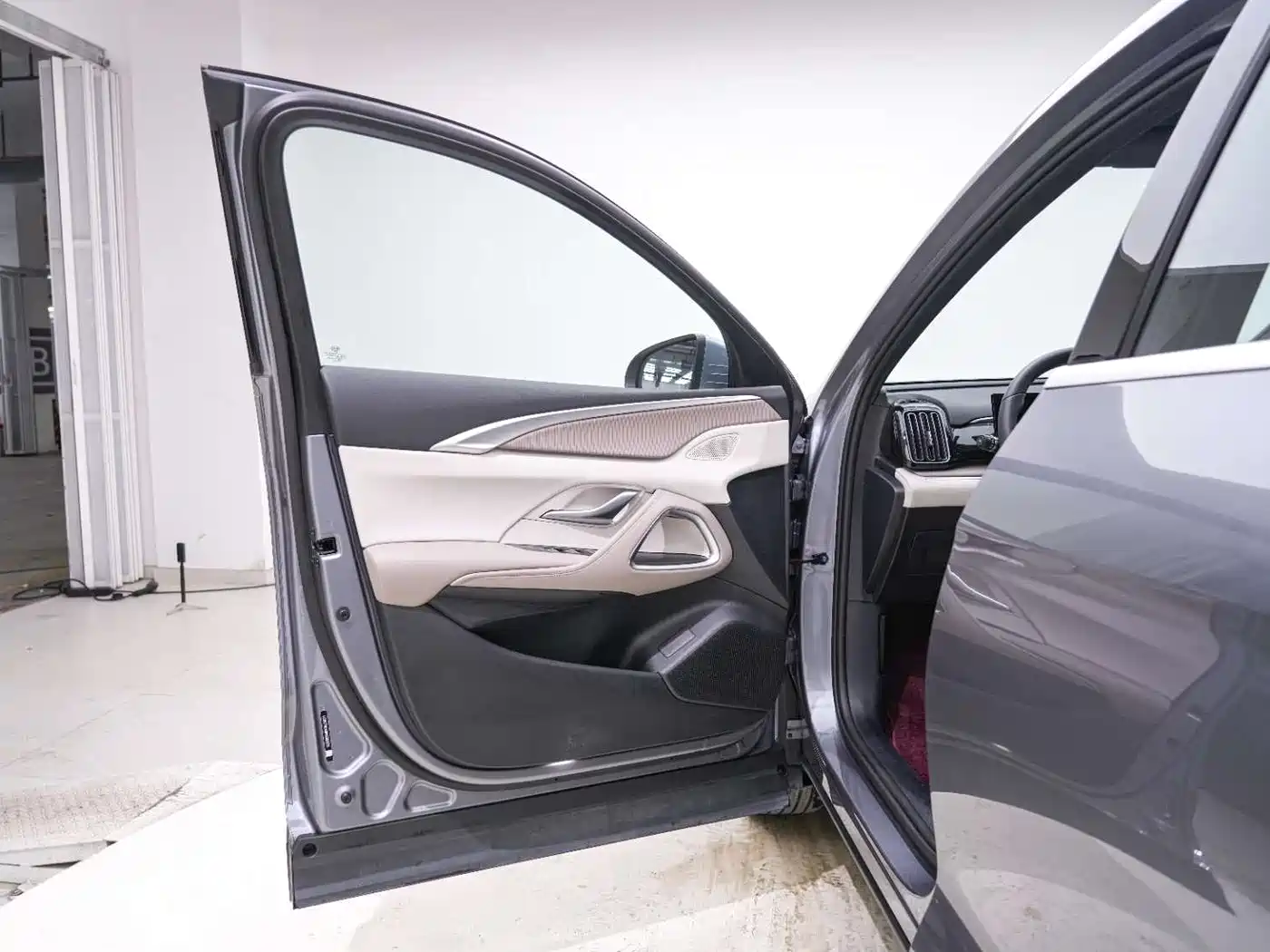 BYD Song Pro New Energy 2024 Glory Edition DM-i 71KM Pilot фото 10