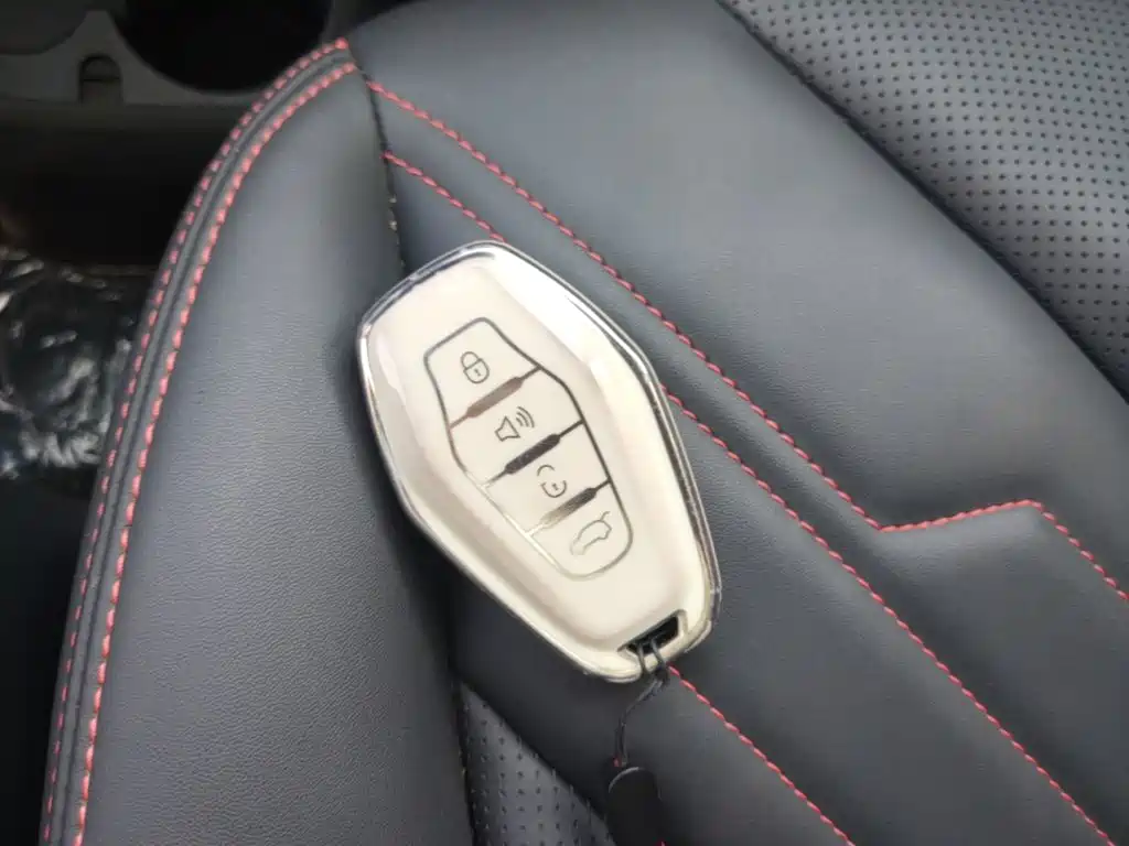 Chery New Energy Chery Wujie Pro 2023 2022 Model 301km Mythical Beast Edition LFP