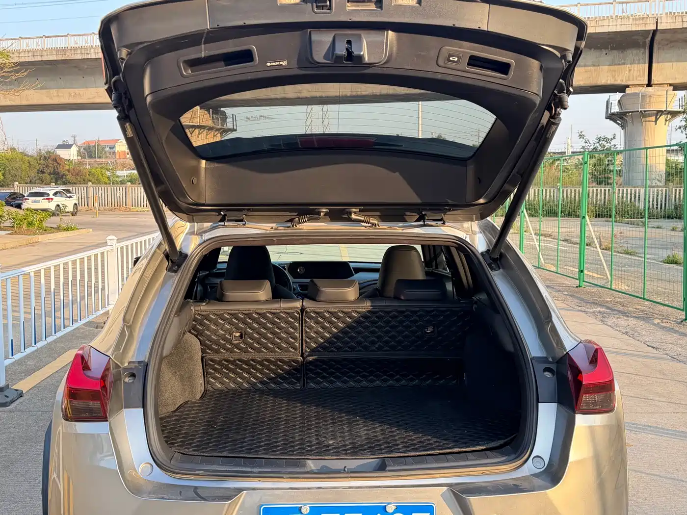 Lexus UX 2020 260h Explore Cool Edition фото 6