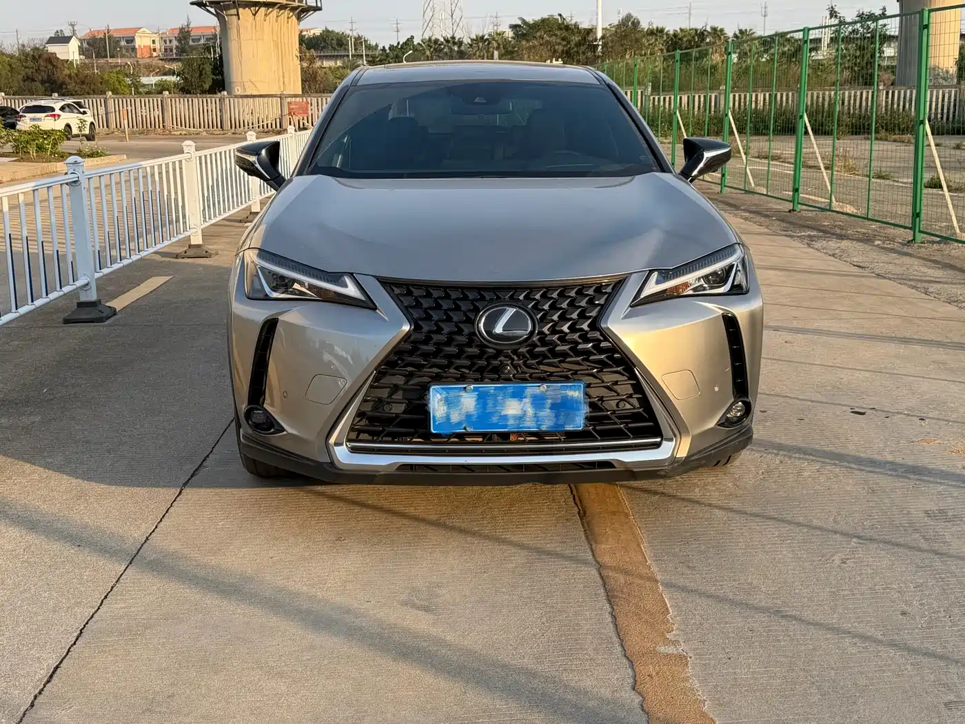 Lexus UX 2020 260h Explore Cool Edition фото 2