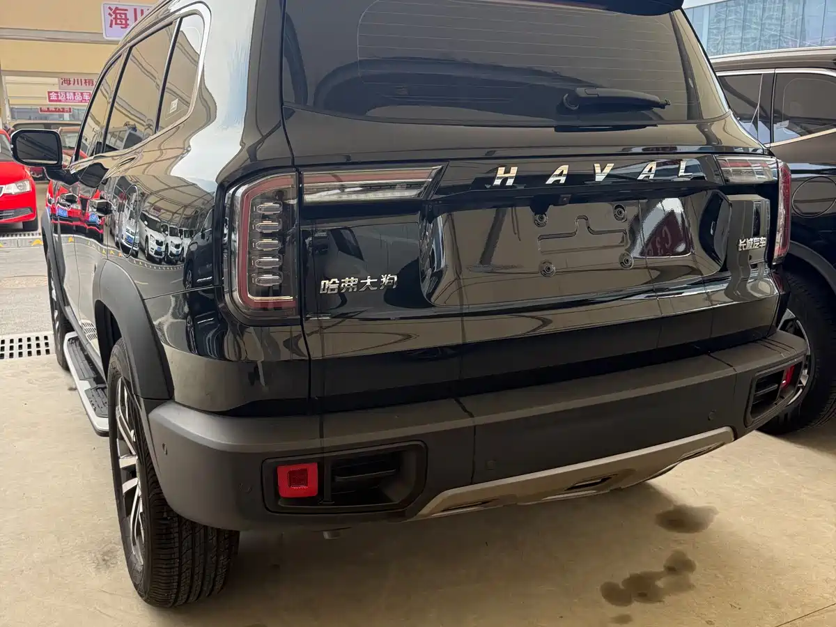 HAVAL BIG DOG