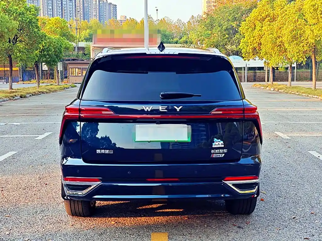 WEY Lanshan 2023 2023 AWD Ultra Long Range Edition