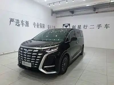 Denza D9
