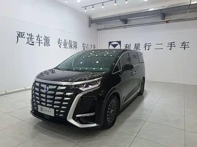 Denza D9 DM-i 1040, Премиум