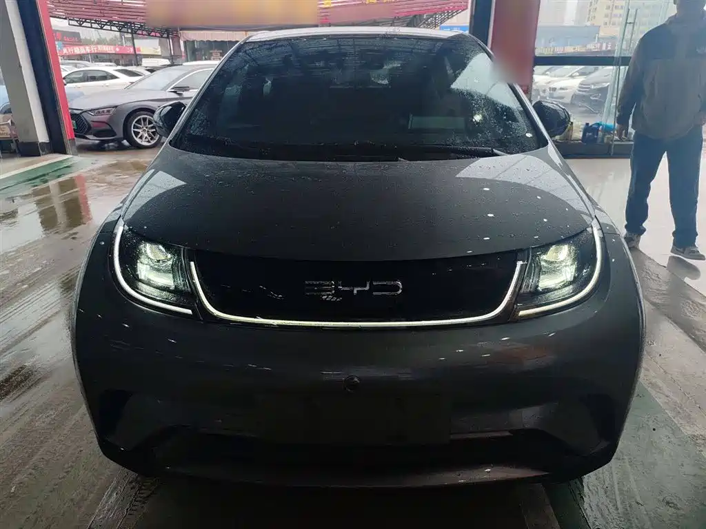 BYD Dolphin 2023 420km Fashion Edition фото 3
