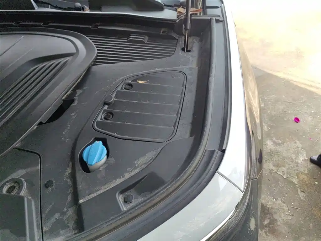 Hongqi E-HS9 2022 660km Qi Ling Edition (4-seater) фото 22