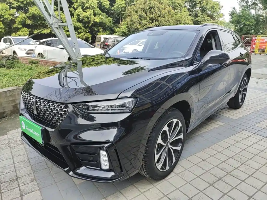 WEY VV7 2020 2020 2.0T Super Luxury