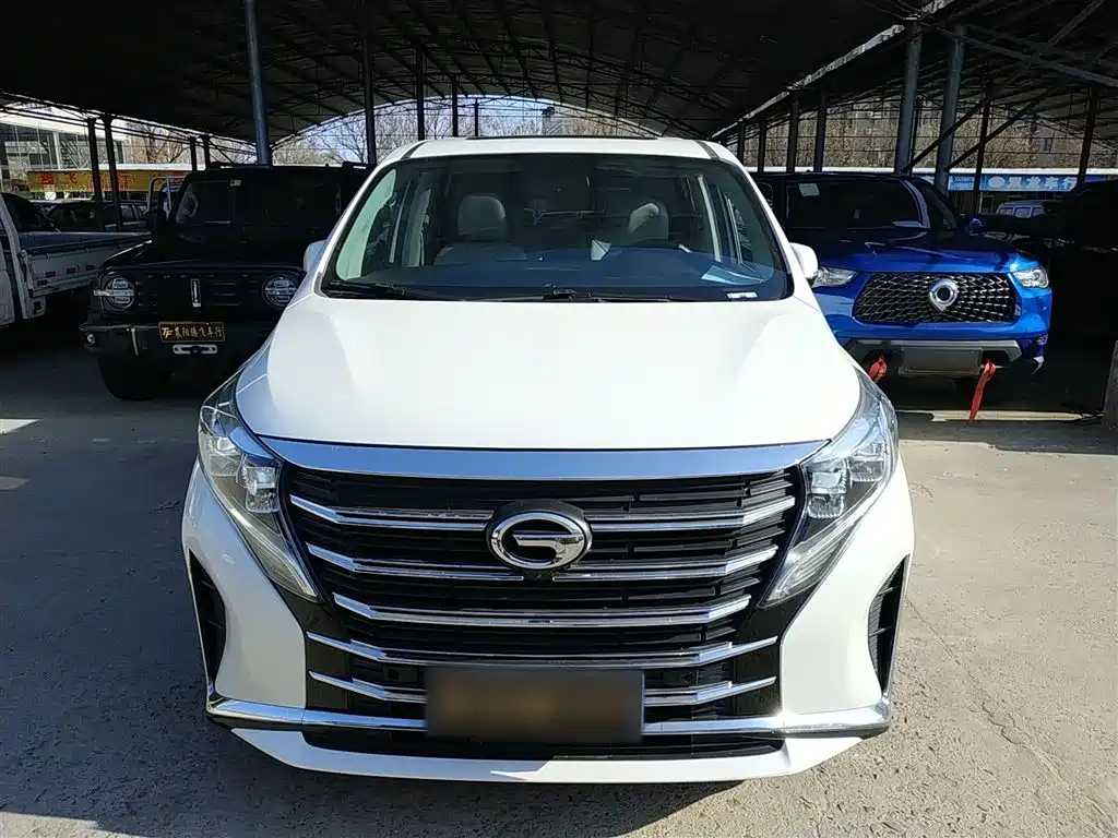 GAC Trumpchi Trumpchi M8 2021 Facelift Leading Series 390T Luxury Edition фото 19