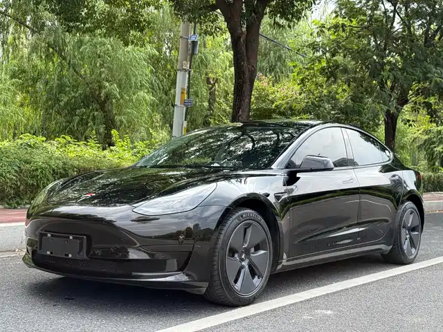 Tesla Model 3 Задний привод