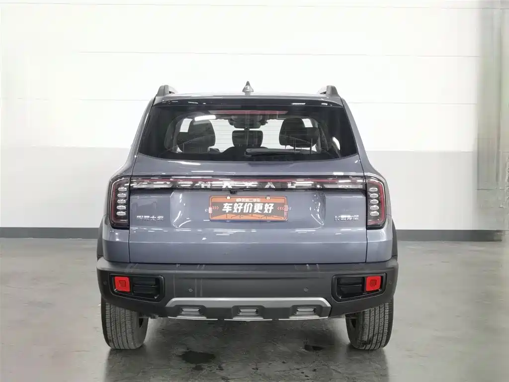 Haval Big Dog 2024 1.5T DCT Border Collie Edition фото 4