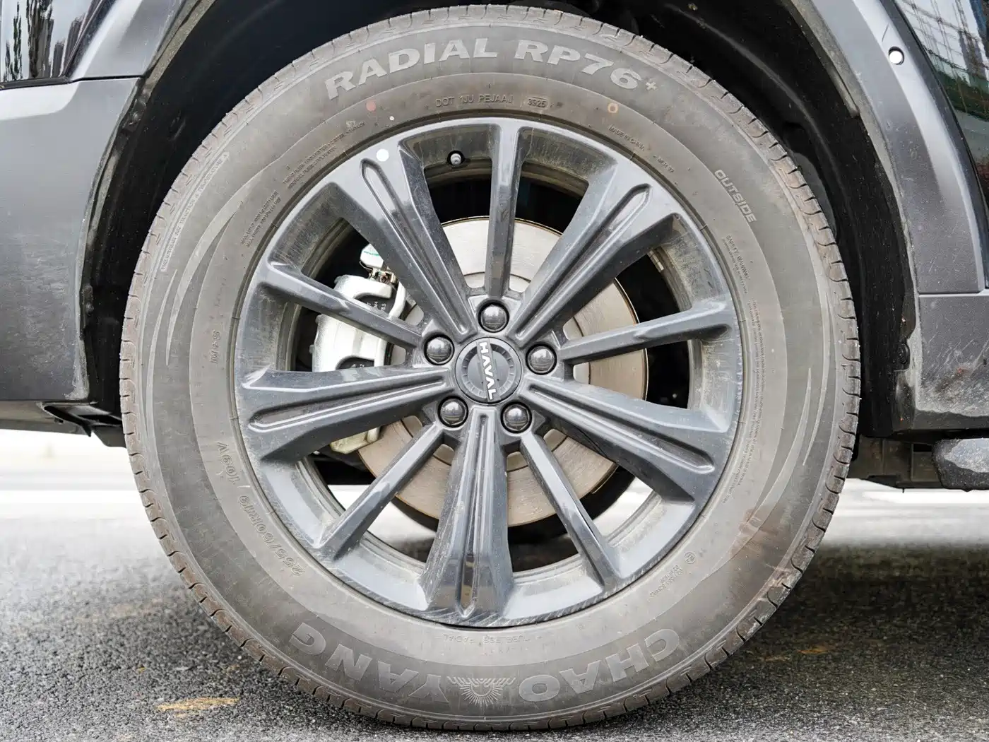 HAVAL RAPTORS NEW ENERGY