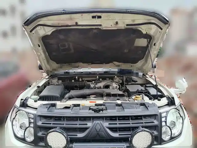 Mitsubishi Pajero (Import) 2010 3.0L Automatic Elite Edition — фото 3