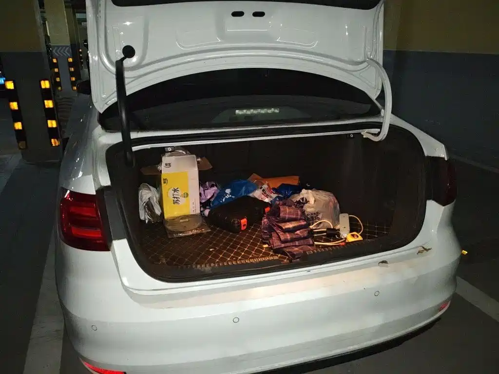 Photo 20 - Volkswagen Sagitar