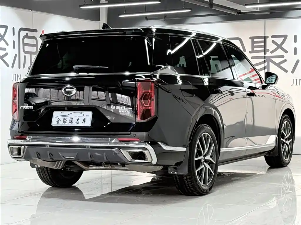 GAC Trumpchi Trumpchi GS8 2022 Hybrid Series 2.0TM 4WD Premium Edition (7-Seater) фото 6