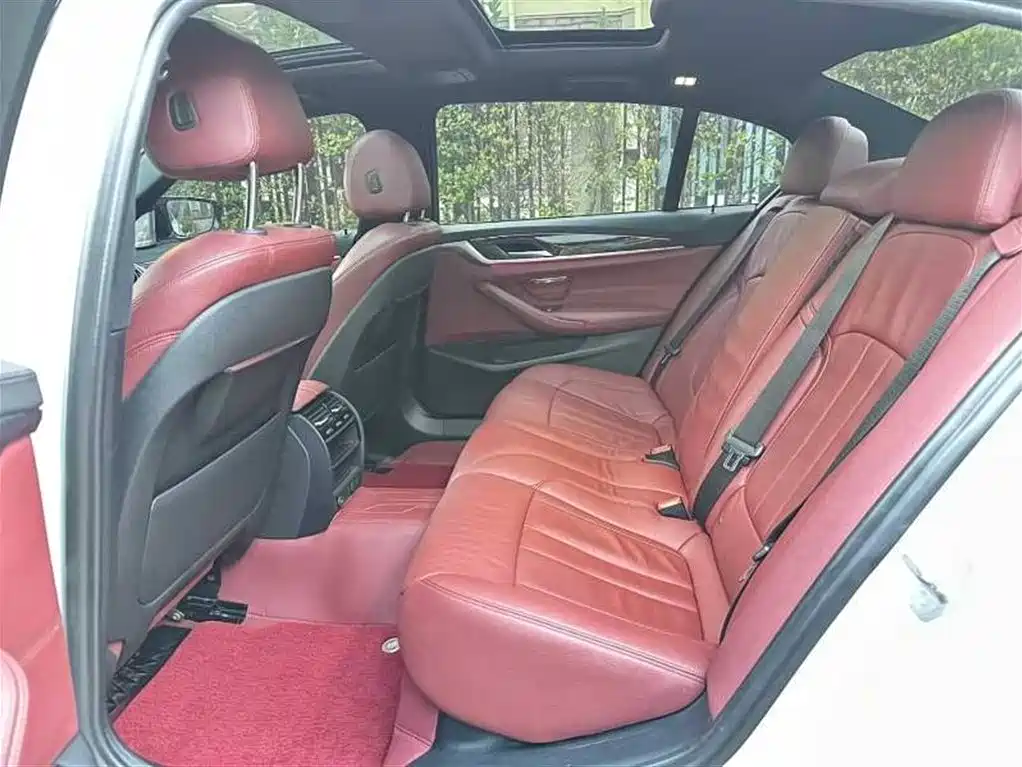 BMW 5 Series 2019 530Li Leading M Sport Package фото 8