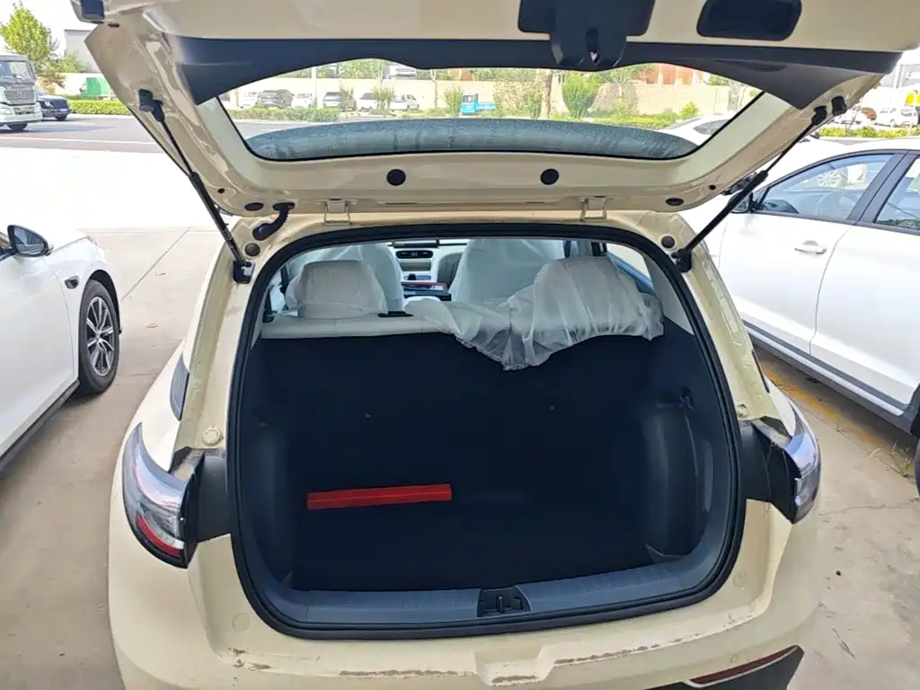 Geely Galaxy Starry Wish 2026 2026 Edition 310km Youth Version