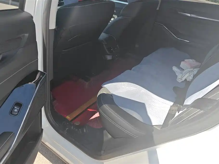 Haval H6 2022 3rd Gen 1.5T Auto 2WD Max фото 11